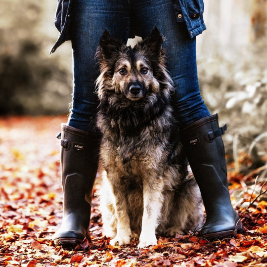 raising my rescue logo